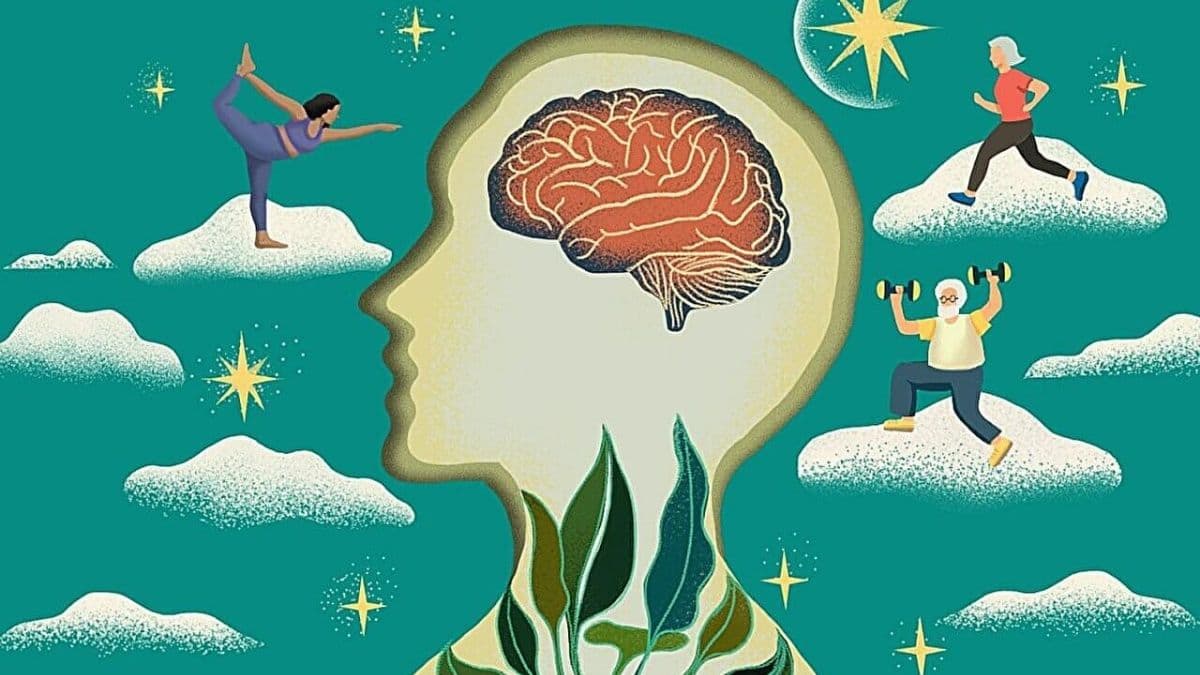 Suy giảm nhận thức: Não bộ thay đổi như thế nào khi già đi?